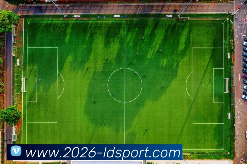 乐动体育平台生态图