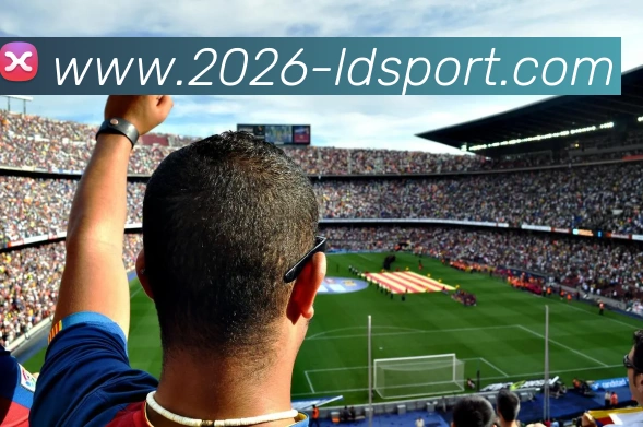 乐动体育APP 封面图